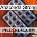 Anaconda Strong 31